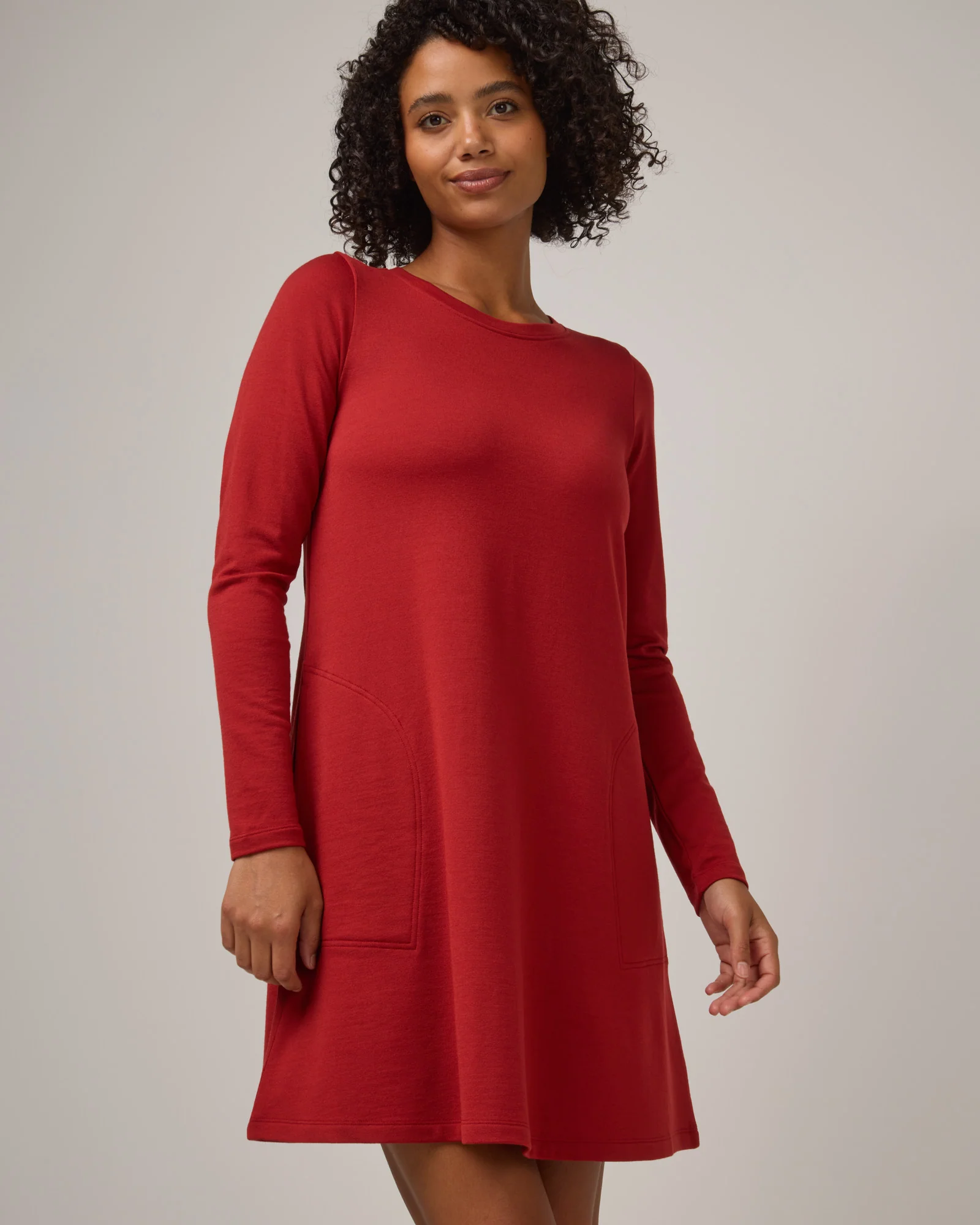 Eliza Swing Dress - Image 4
