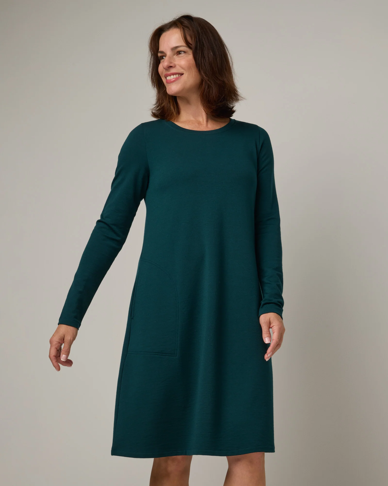 Eliza Swing Dress - Image 4